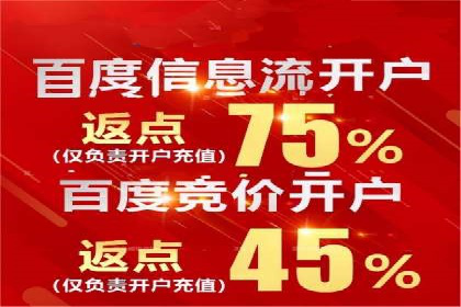 行业领先的SEM竞价广告投放案例